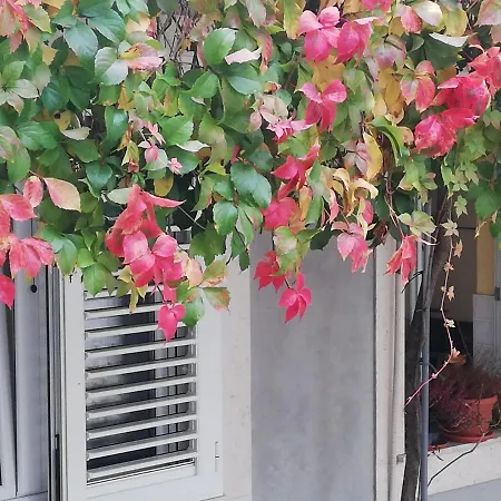 Lenka Apartmán Split